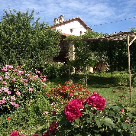 Casa Isabella ξενώνας Vaglio Serra Εξωτερικό φωτογραφία
